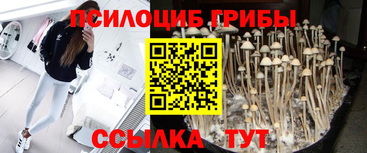 Псилоцибиновые грибы Psilocybine cubensis  Вход с VPN  Галлюциногенные грибы Magic Shrooms  Котлас 